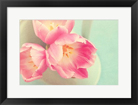 Framed Resplendent Blossoms II Print