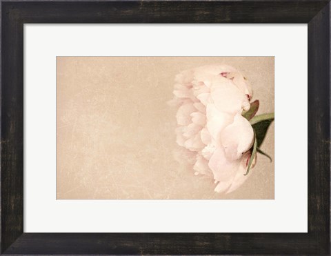 Framed Alluring Flower Print