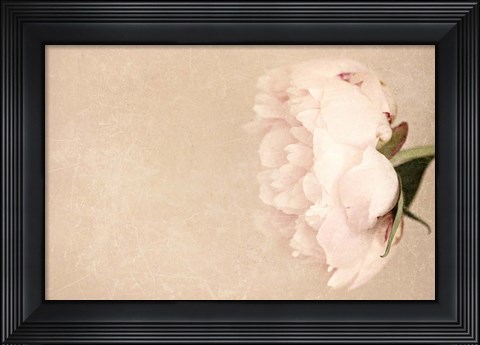 Framed Alluring Flower Print