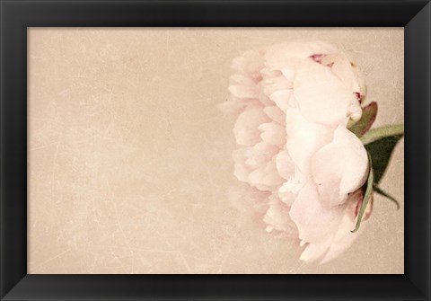 Framed Alluring Flower Print