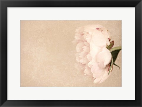 Framed Alluring Flower Print