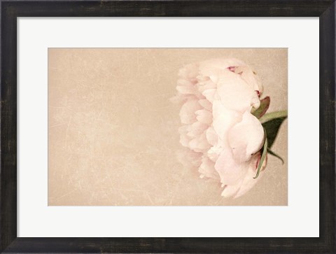 Framed Alluring Flower Print