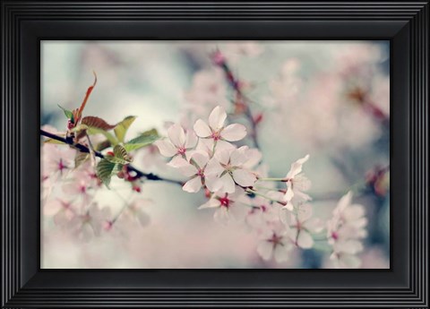 Framed Branch of Beauty Print