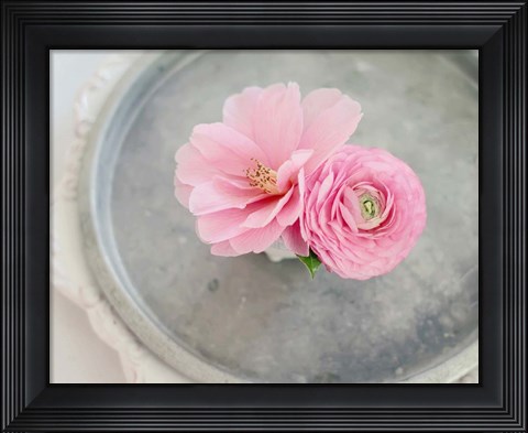 Framed Captivating Pair Print
