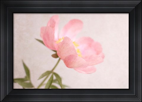 Framed Soft Petals Print