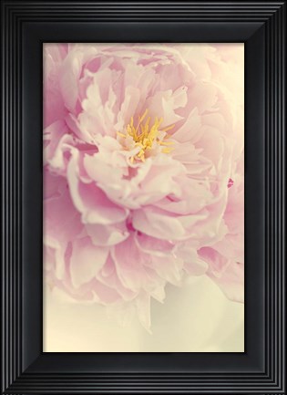 Framed Angelic Petals Print
