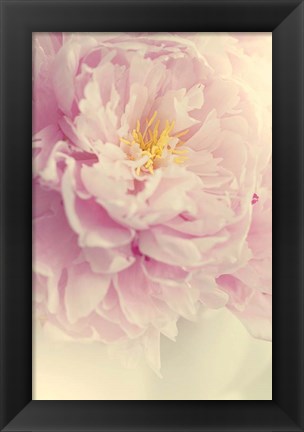 Framed Angelic Petals Print