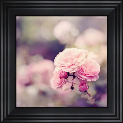 Framed In the Garden Print