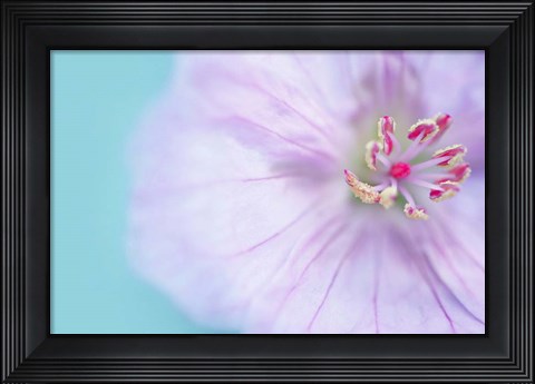 Framed Heart of a Flower Print