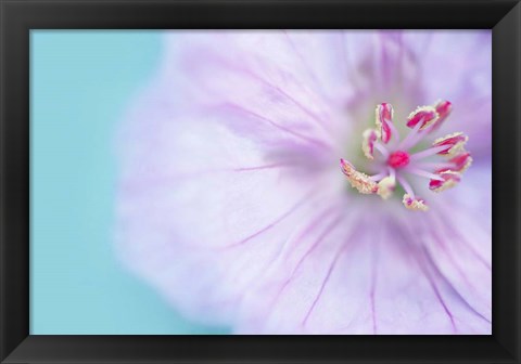 Framed Heart of a Flower Print