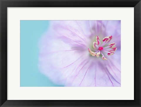 Framed Heart of a Flower Print