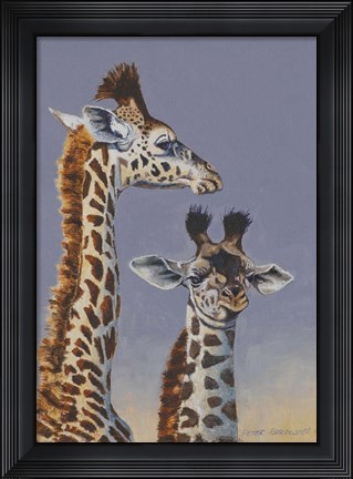 Framed Two Young Giraffes Print
