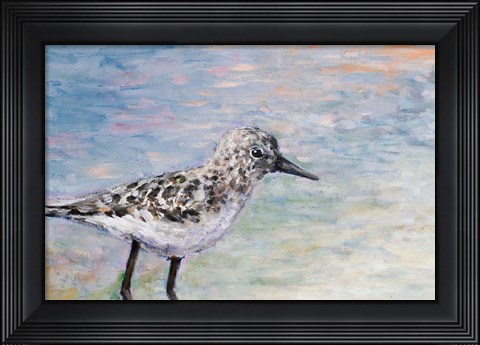 Framed Sandpiper IB Print
