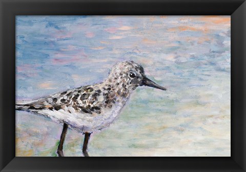 Framed Sandpiper IB Print