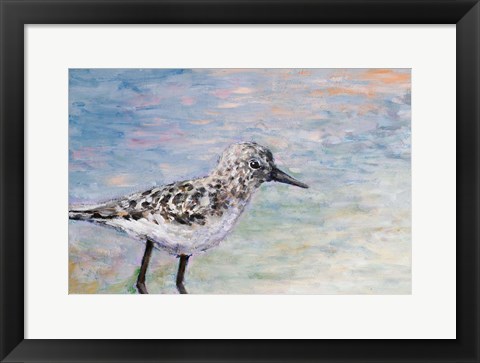 Framed Sandpiper IB Print