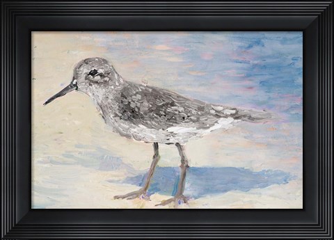 Framed Sandpiper IIB Print