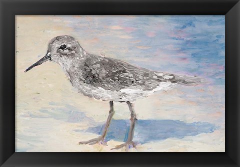 Framed Sandpiper IIB Print