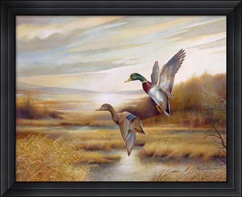 Framed Mallards Print