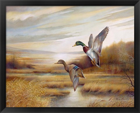 Framed Mallards Print