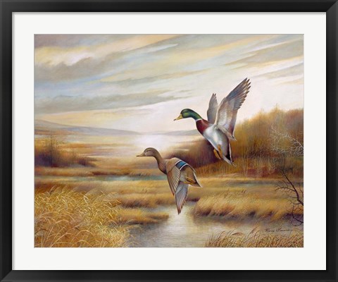 Framed Mallards Print