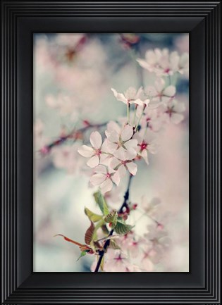 Framed Branch of Beauty Vertical Print