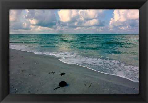Framed Emerald Sea Print