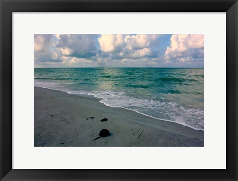 Framed Emerald Sea Print