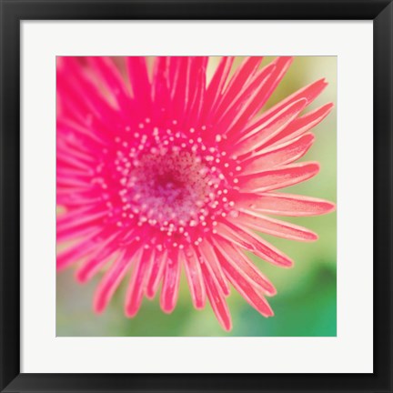 Framed Pink Fun I Print