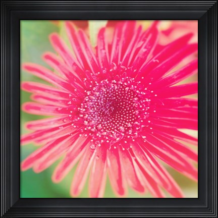Framed Pink Fun II Print