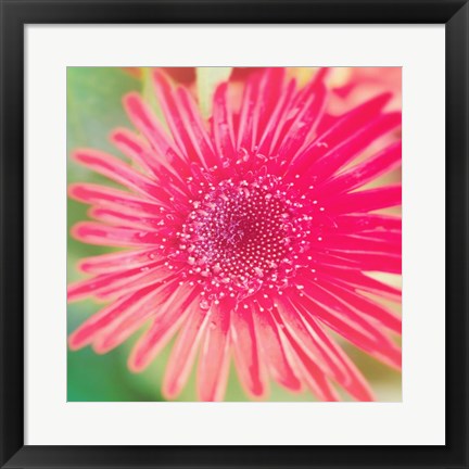 Framed Pink Fun II Print