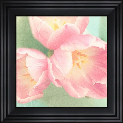 Framed Resplendent Blossoms I Print