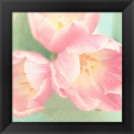 Framed Resplendent Blossoms I Print