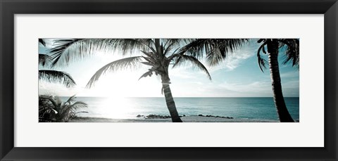 Framed Cool Bimini I Print