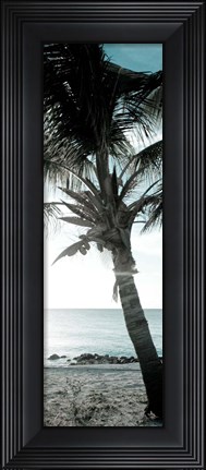 Framed Cool Bimini Palm I Print