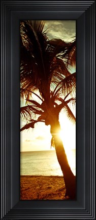 Framed Warm Bimini Palm Print