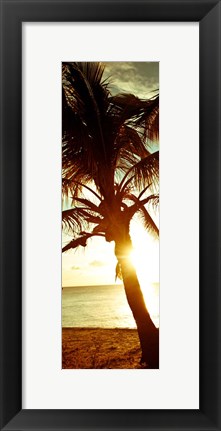 Framed Warm Bimini Palm Print