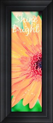 Framed Shine Bright Daisy Print