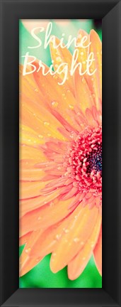 Framed Shine Bright Daisy Print