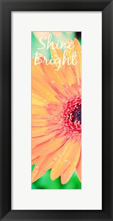 Framed Shine Bright Daisy Print