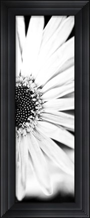 Framed White Bloom I Print