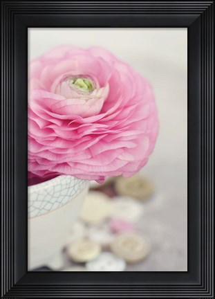 Framed Softy Elegant II Print