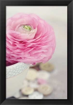 Framed Softy Elegant II Print