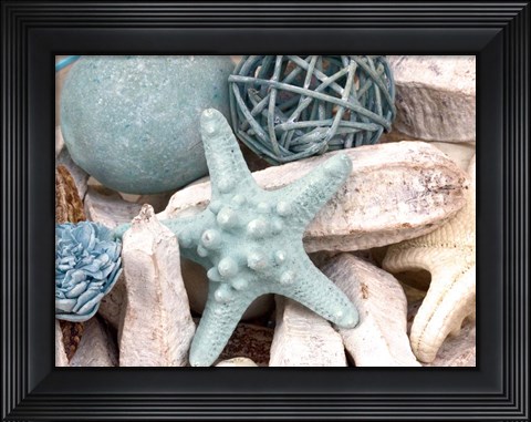 Framed Bundle of Shells I Print