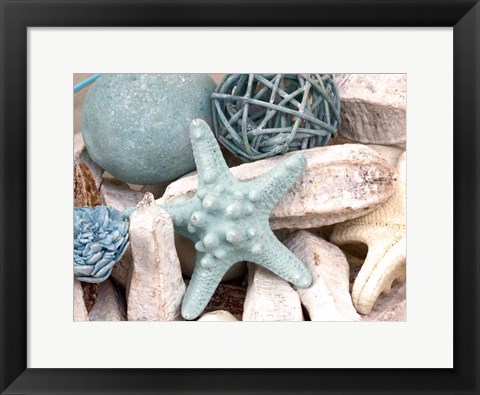 Framed Bundle of Shells I Print