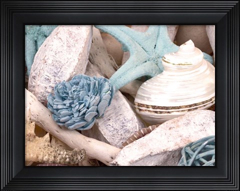 Framed Bundle of Shells II Print