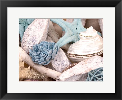 Framed Bundle of Shells II Print