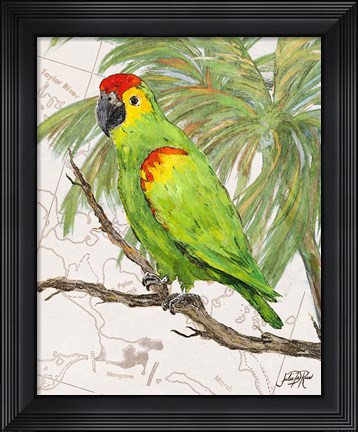 Framed Another Bird in Paradise II Print