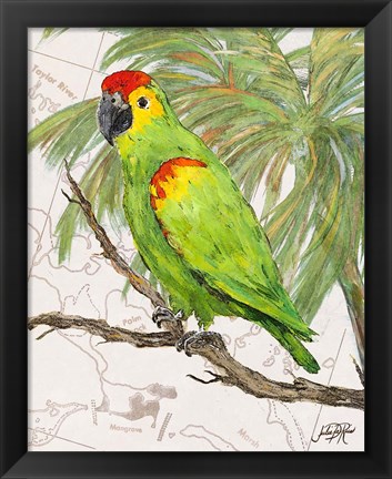 Framed Another Bird in Paradise II Print