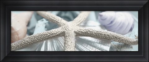 Framed Gold Seashells II Print