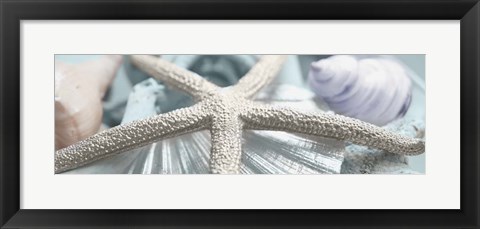 Framed Gold Seashells II Print